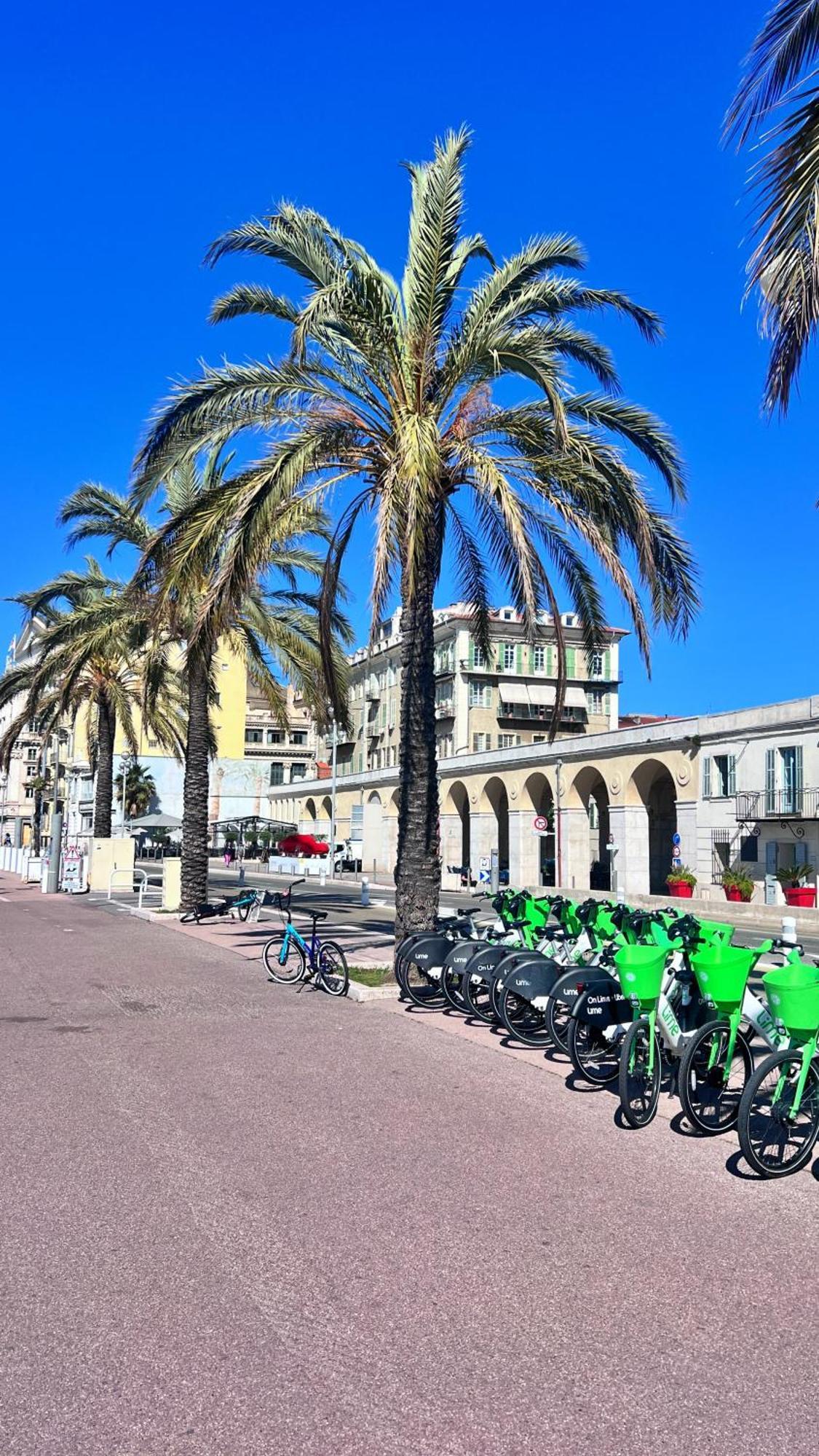 Apartamento L'azur Plaisance - Le Port Lympia Niza